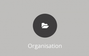 Organisation - Organigramm