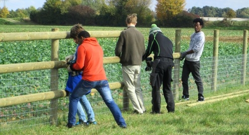 Hand in Hand - Alle packen an! (Foto: Ekkehard Wieprecht)